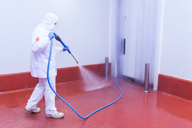 Best Sidewalk and Walkway Cleaning  in Columbia, MD